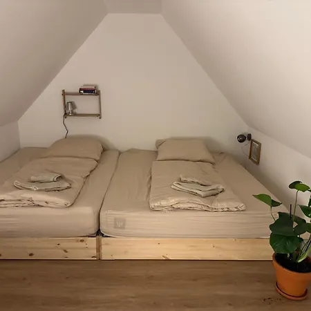 Wohnen Im Alten Standesamt High 5 帕塞瓦尔克