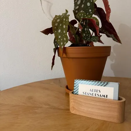 Wohnen Im Alten Standesamt High 5 帕塞瓦尔克