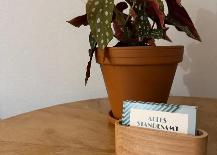 Wohnen Im Alten Standesamt High 5 Pasewalk